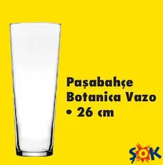 PAŞABAHÇE BOTANİCA VAZO 26 CM